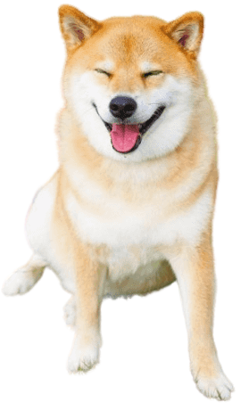 shiba-inu